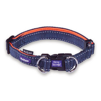 Kazoo Let's Walk! Dog Collar - Large